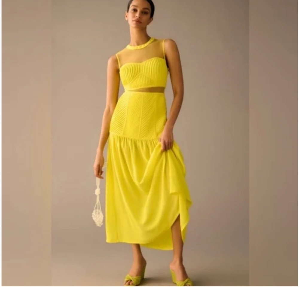 Party Dress! Vineet Bahl Dress with sheer cut outs.